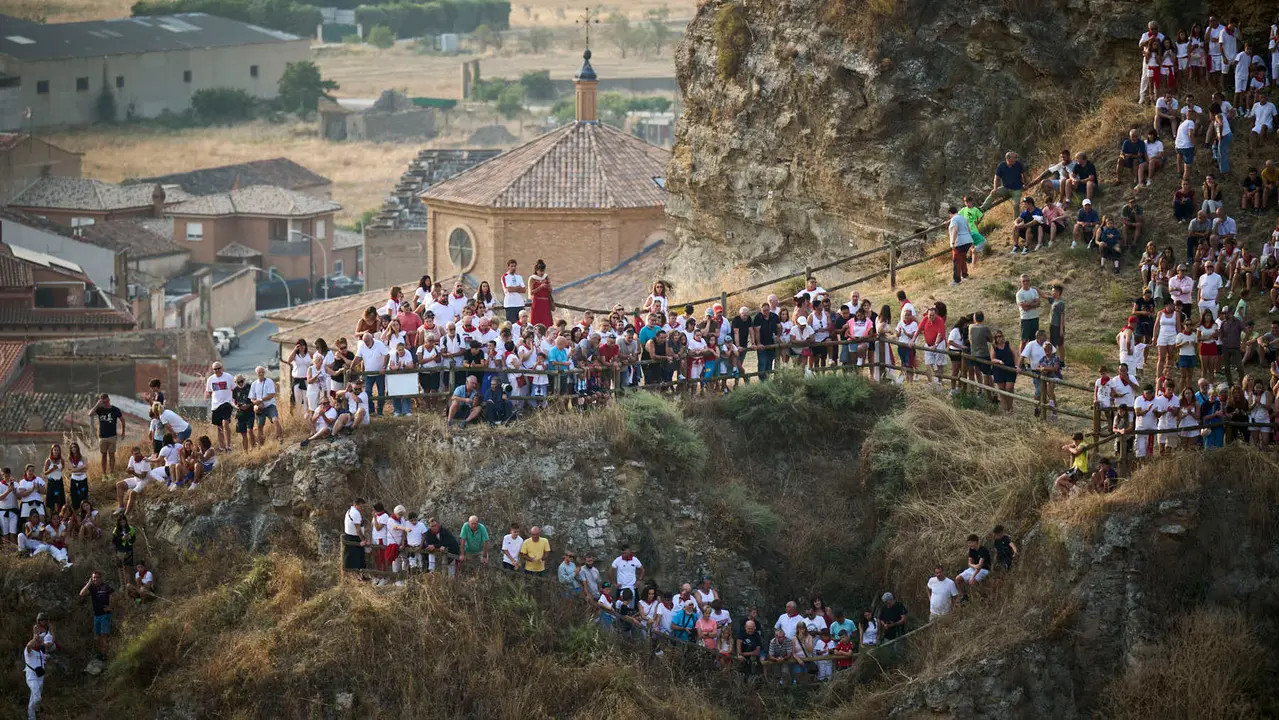 Primer encierro del Pilón en las fiestas de Falces de 2025 con vacas de la ganadería de Vicente Domínguez de Funes. PABLO LASAOSA
