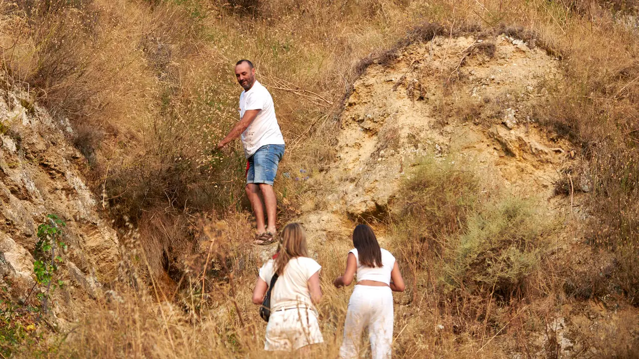 Primer encierro del Pilón de Falces con vacas de la ganadería Vicente Domínguez de Falces. IRANZU LARRASOAÑA
