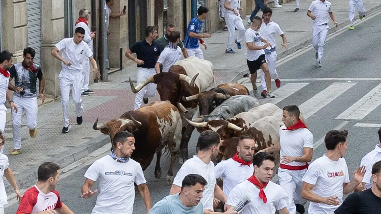Tercer encierro de Tafalla 2025 con toros de la ganadería Sobral. Maite H. Mateo..-18