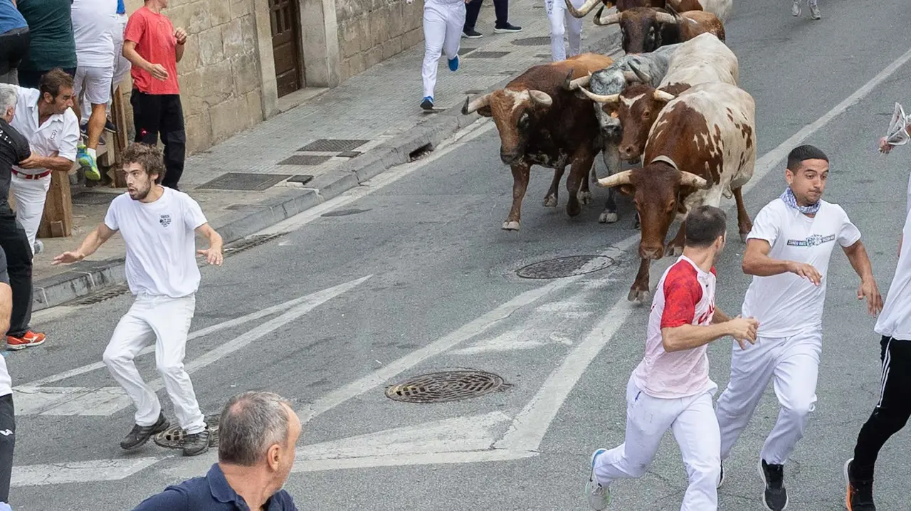 Tercer encierro de Tafalla 2025 con toros de la ganadería Sobral. Maite H. Mateo..-15