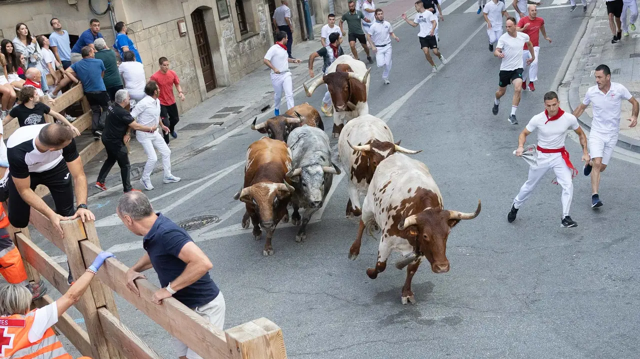 Tercer encierro de Tafalla 2025 con toros de la ganadería Sobral. Maite H. Mateo..-14