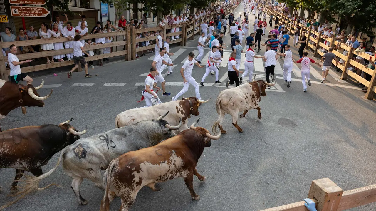 Tercer encierro de Tafalla 2025 con toros de la ganadería Sobral. Maite H. Mateo..-11