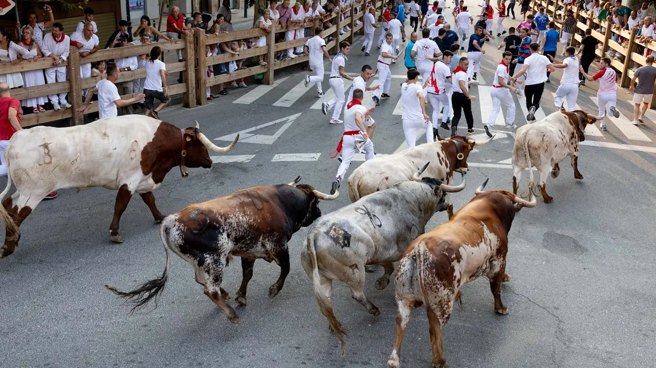 Tercer encierro de Tafalla 2025 con toros de la ganadería Sobral. Maite H. Mateo..-10
