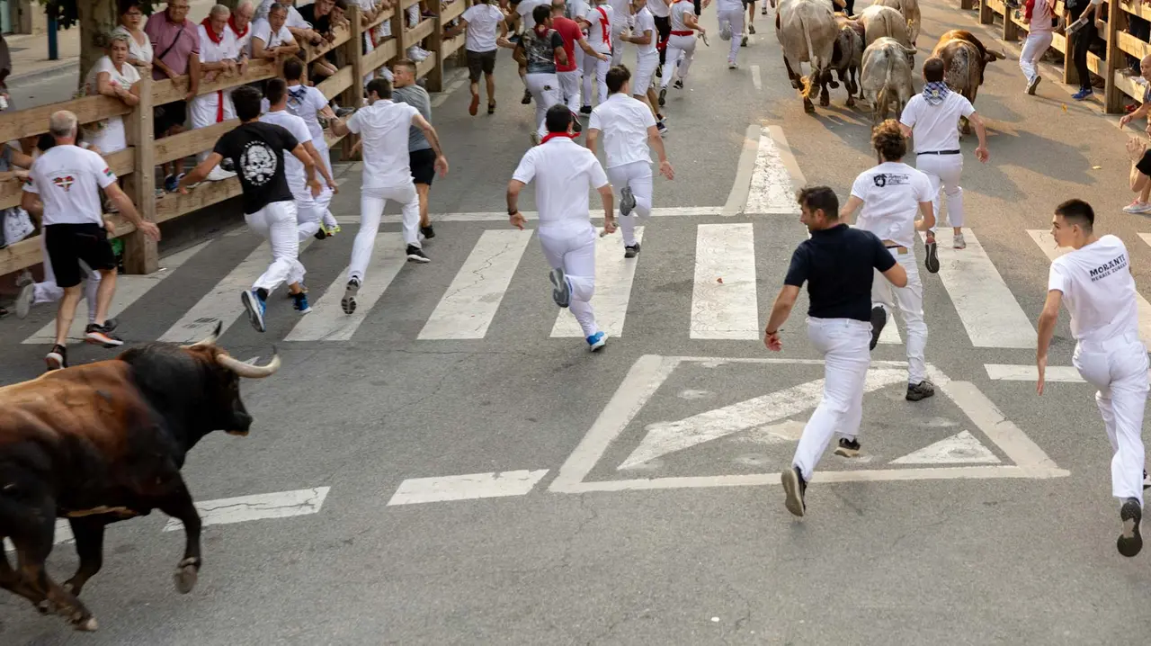 Tercer encierro de Tafalla 2025 con toros de la ganadería Sobral. Maite H. Mateo..-08