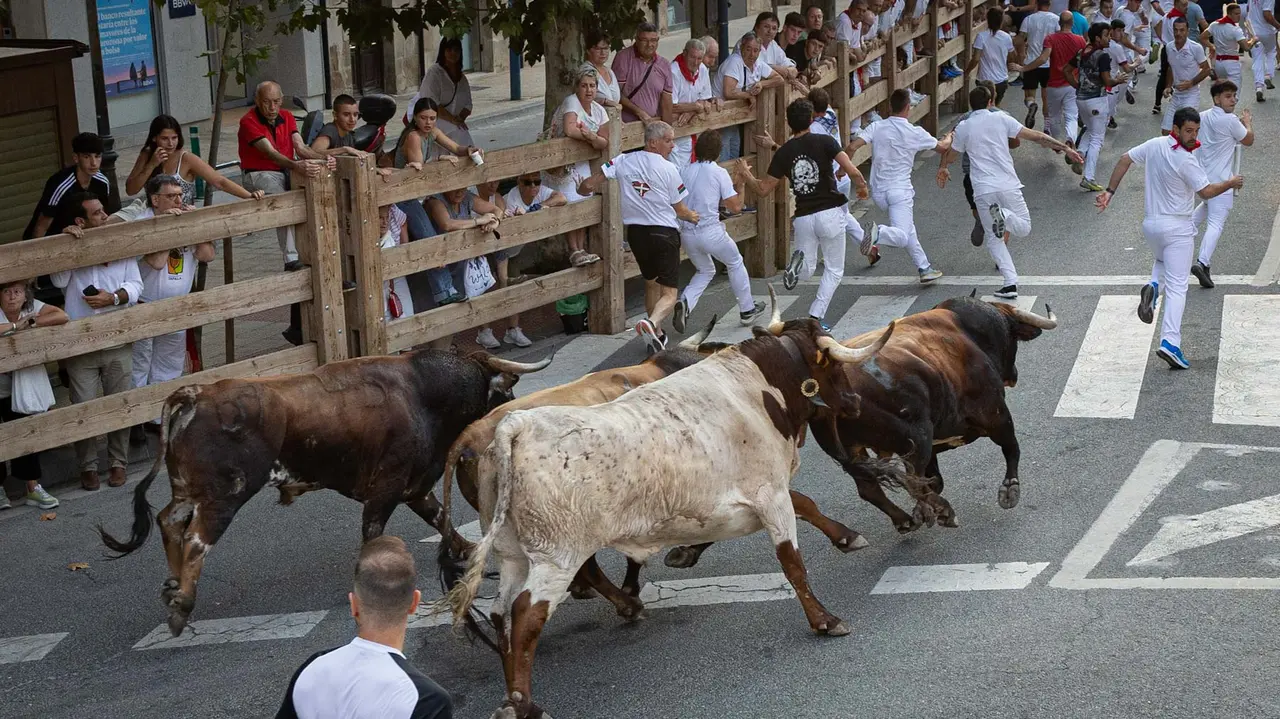 Tercer encierro de Tafalla 2025 con toros de la ganadería Sobral. Maite H. Mateo..-07