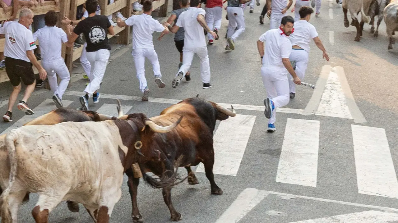 Tercer encierro de Tafalla 2025 con toros de la ganadería Sobral. Maite H. Mateo..-06