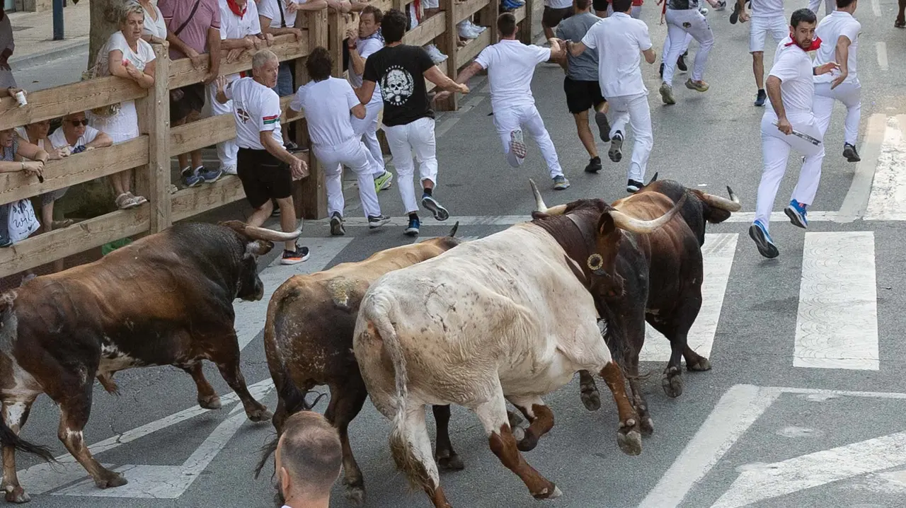 Tercer encierro de Tafalla 2025 con toros de la ganadería Sobral. Maite H. Mateo..-05