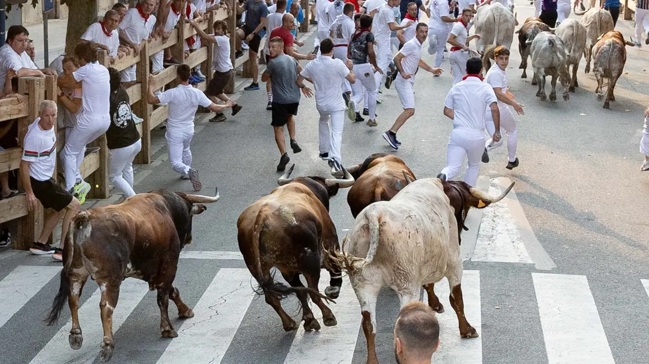 Tercer encierro de Tafalla 2025 con toros de la ganadería Sobral. Maite H. Mateo..-04