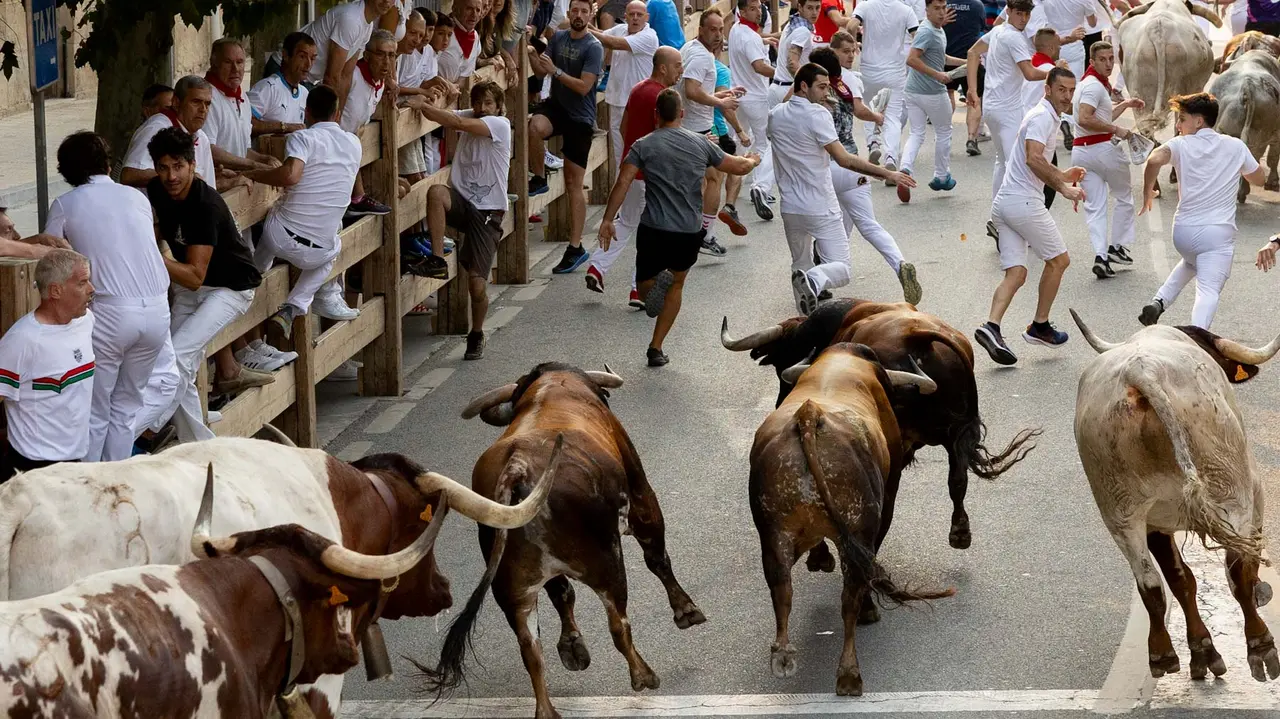 Tercer encierro de Tafalla 2025 con toros de la ganadería Sobral. Maite H. Mateo..-03