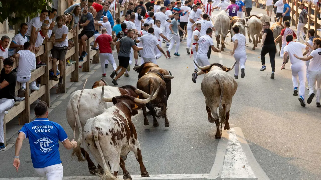 Tercer encierro de Tafalla 2025 con toros de la ganadería Sobral. Maite H. Mateo..-01