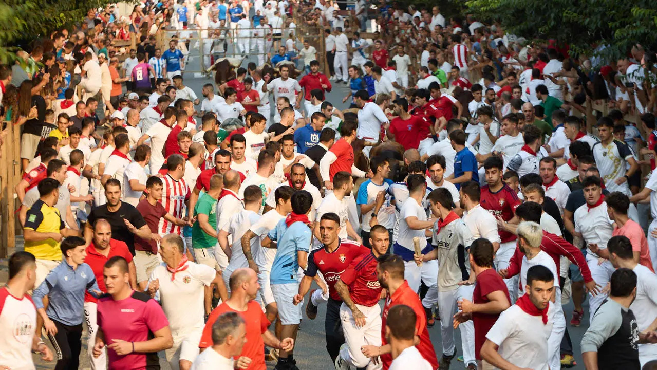 Tercer encierro de las fiestas de Tafalla 2025 con toros de la ganadería de Sobral. IÑIGO ALZUGARAY