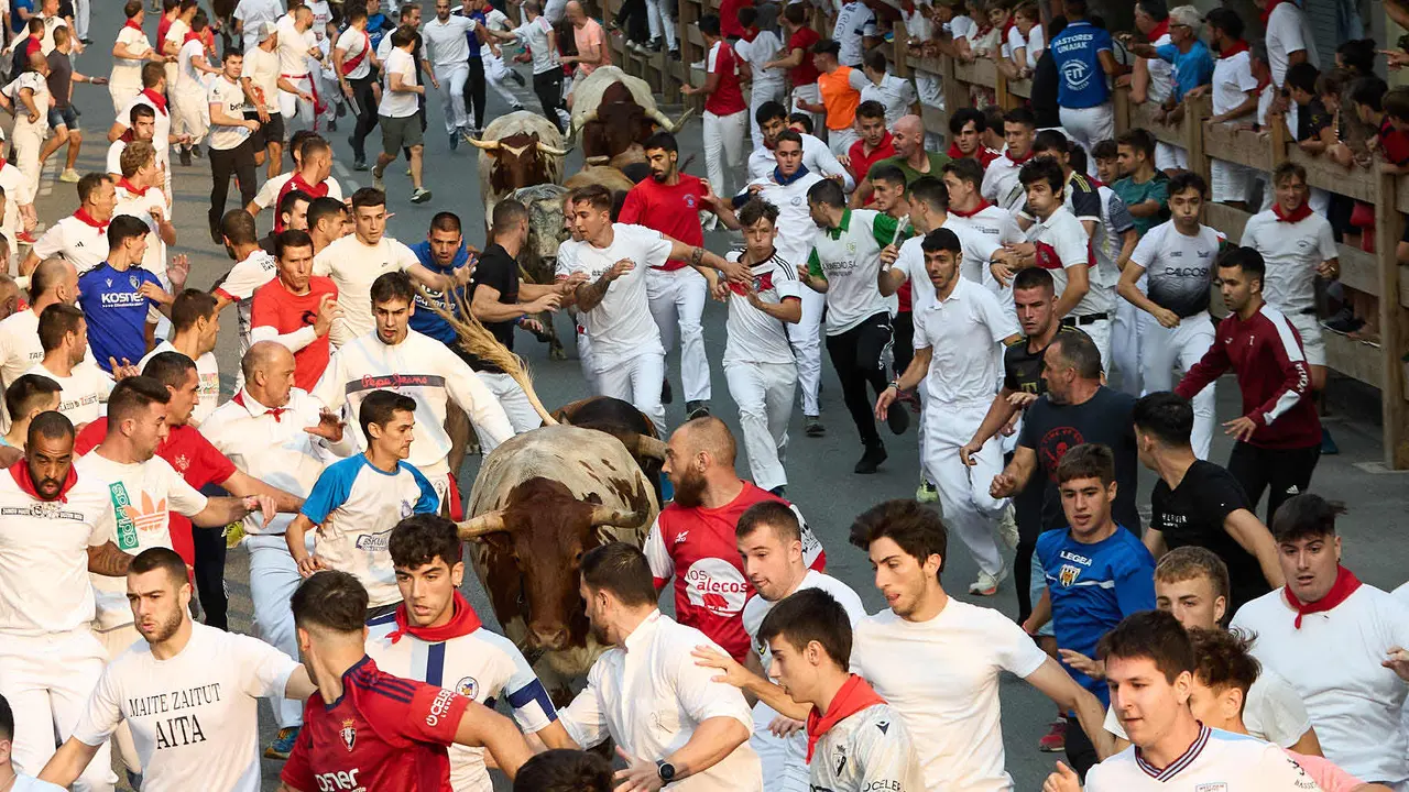 Tercer encierro de las fiestas de Tafalla 2025 con toros de la ganadería de Sobral. IÑIGO ALZUGARAY