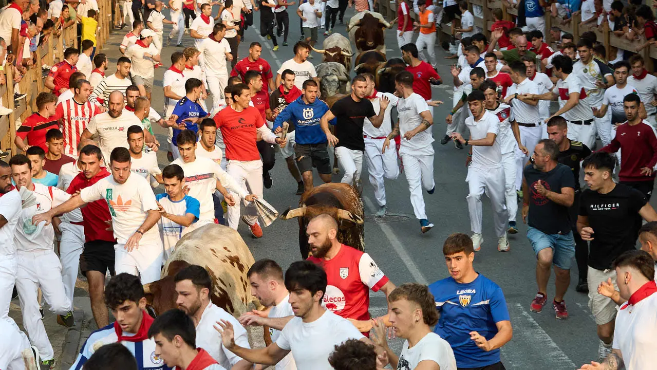 Tercer encierro de las fiestas de Tafalla 2025 con toros de la ganadería de Sobral. IÑIGO ALZUGARAY