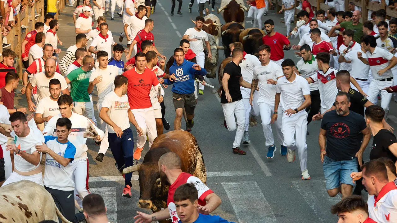 Tercer encierro de las fiestas de Tafalla 2025 con toros de la ganadería de Sobral. IÑIGO ALZUGARAY