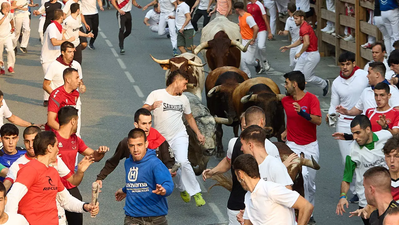 Tercer encierro de las fiestas de Tafalla 2025 con toros de la ganadería de Sobral. IÑIGO ALZUGARAY