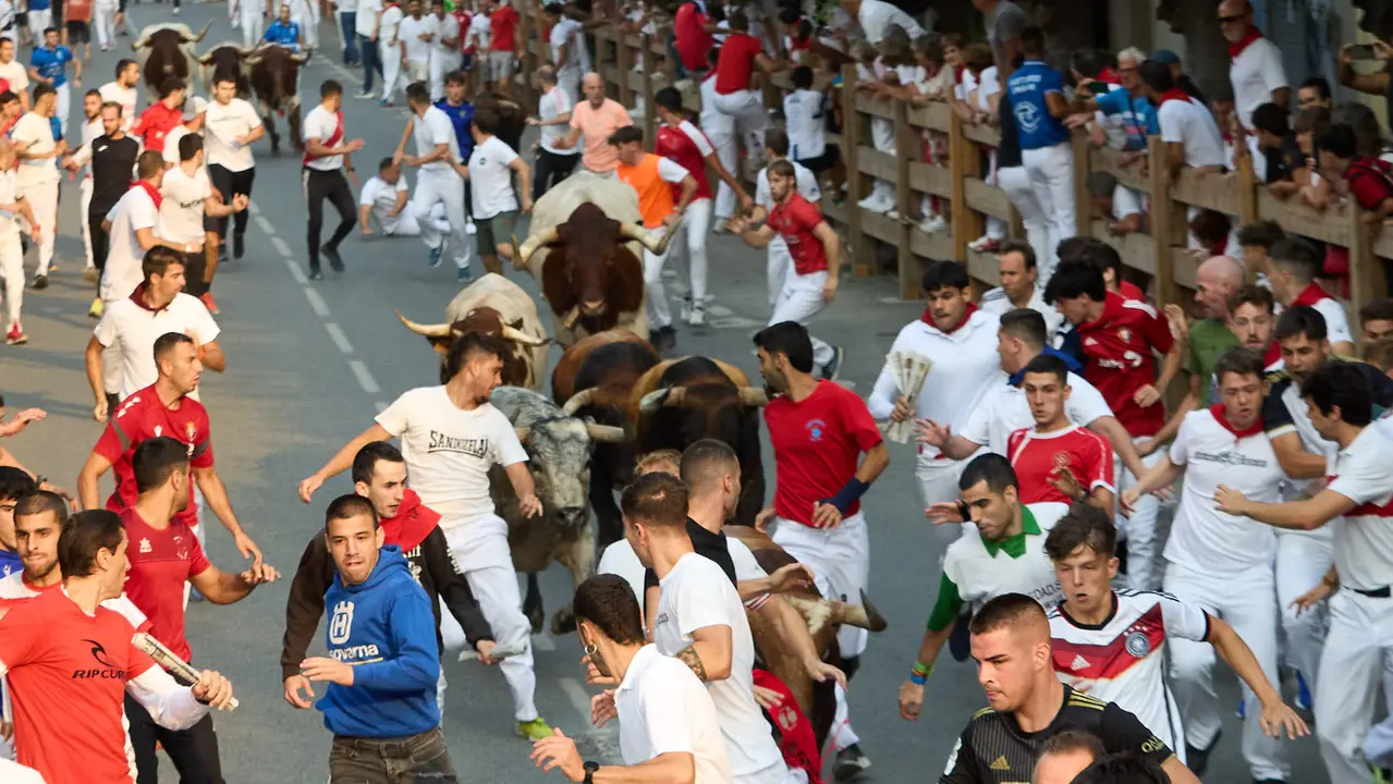 Tercer encierro de las fiestas de Tafalla 2025 con toros de la ganadería de Sobral. IÑIGO ALZUGARAY