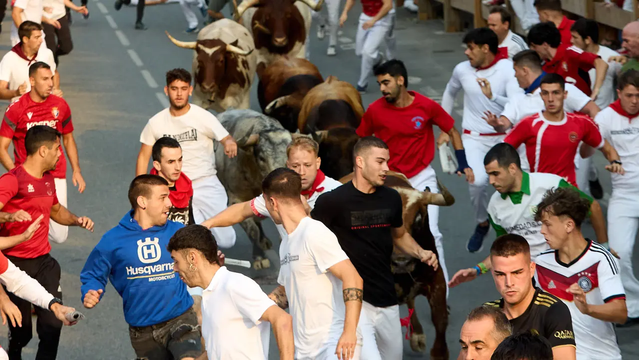 Tercer encierro de las fiestas de Tafalla 2025 con toros de la ganadería de Sobral. IÑIGO ALZUGARAY