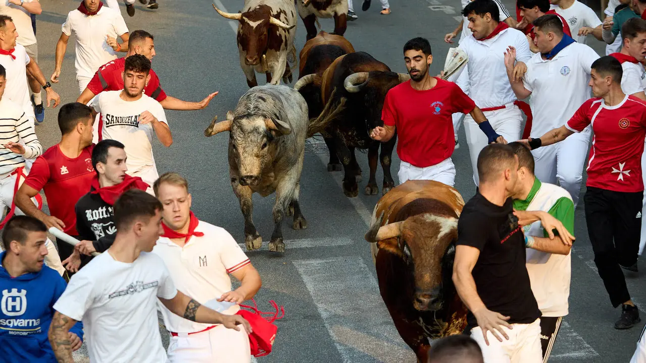 Tercer encierro de las fiestas de Tafalla 2025 con toros de la ganadería de Sobral. IÑIGO ALZUGARAY