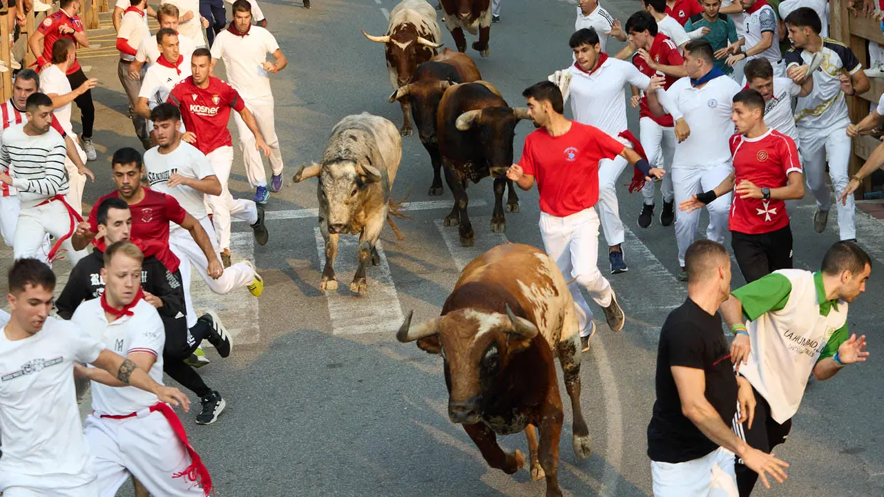 Tercer encierro de las fiestas de Tafalla 2025 con toros de la ganadería de Sobral. IÑIGO ALZUGARAY