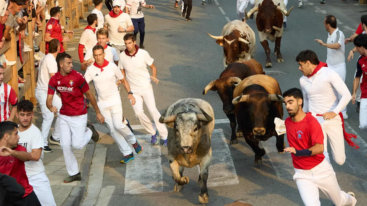 Tercer encierro de las fiestas de Tafalla 2025 con toros de la ganadería de Sobral. IÑIGO ALZUGARAY