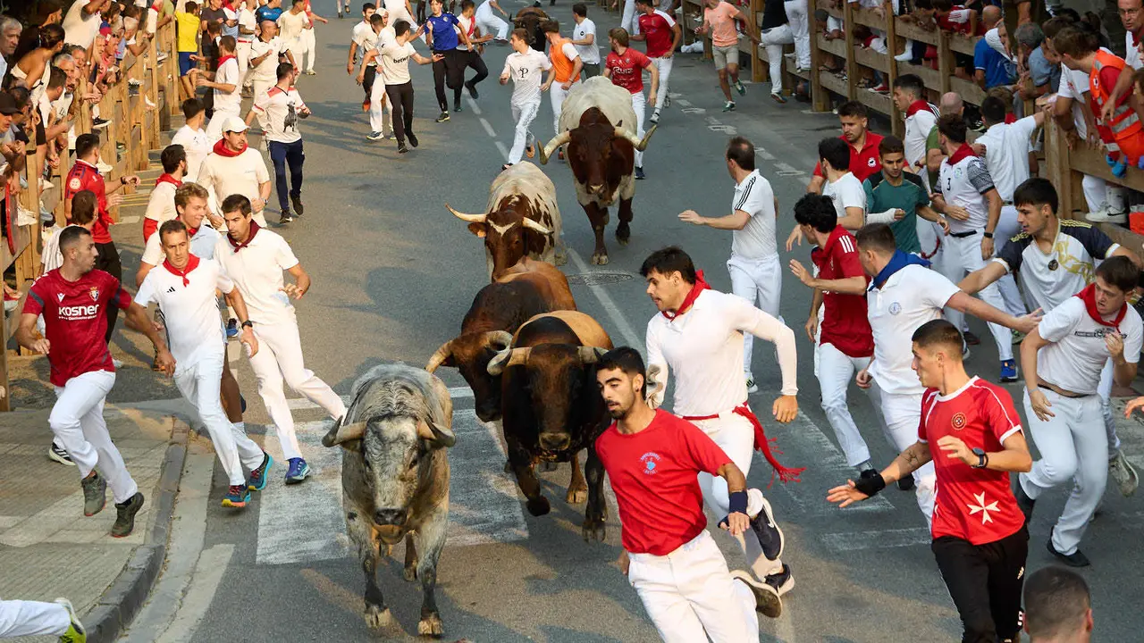 Tercer encierro de las fiestas de Tafalla 2025 con toros de la ganadería de Sobral. IÑIGO ALZUGARAY