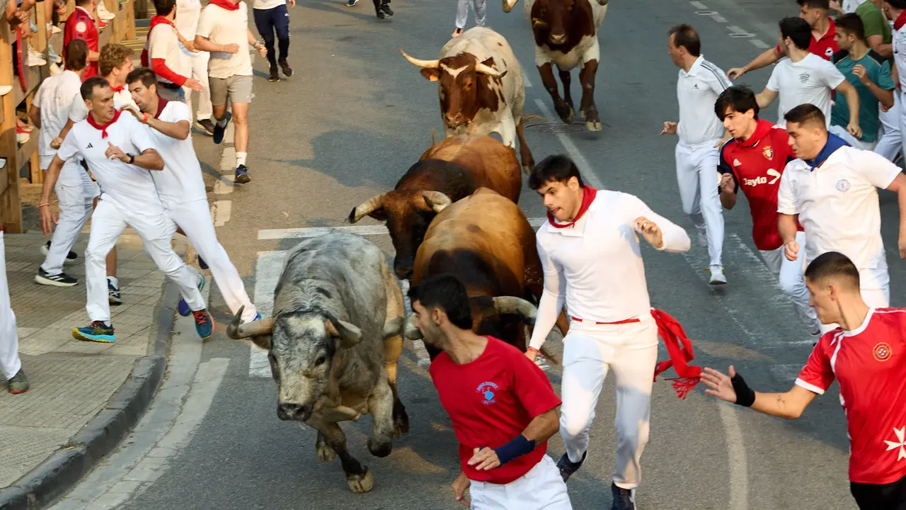 Tercer encierro de las fiestas de Tafalla 2025 con toros de la ganadería de Sobral. IÑIGO ALZUGARAY