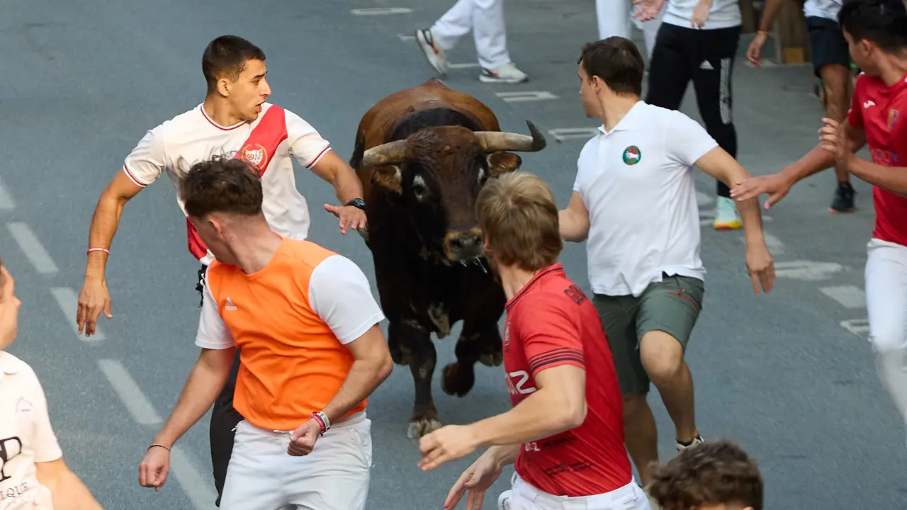 Tercer encierro de las fiestas de Tafalla 2025 con toros de la ganadería de Sobral. IÑIGO ALZUGARAY