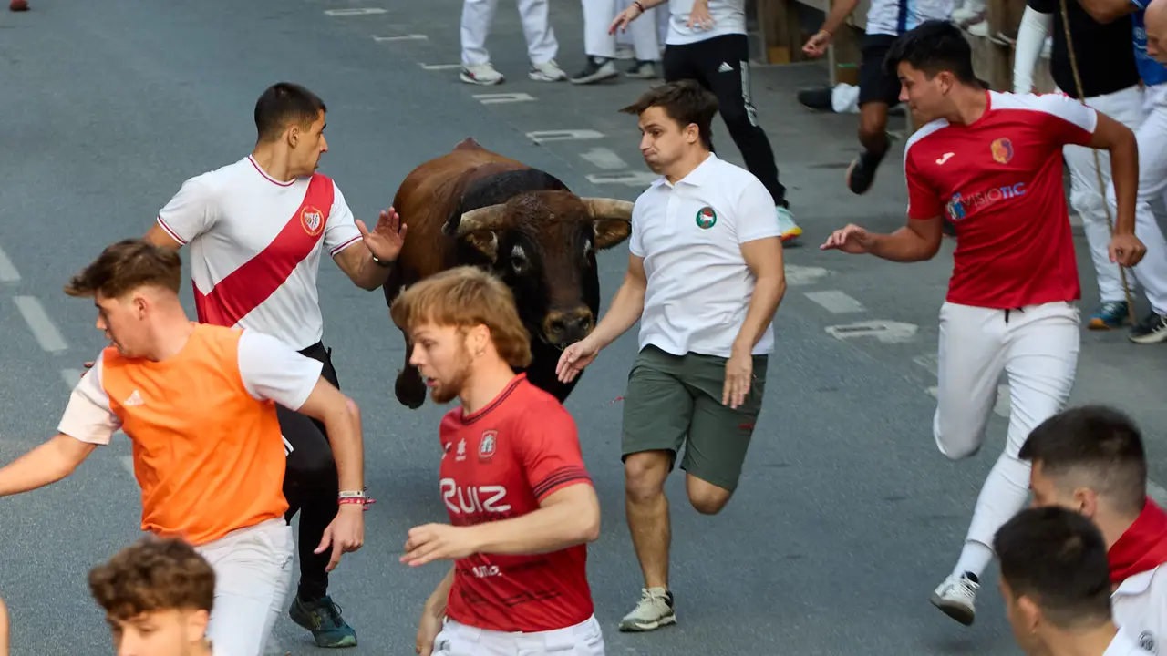 Tercer encierro de las fiestas de Tafalla 2025 con toros de la ganadería de Sobral. IÑIGO ALZUGARAY