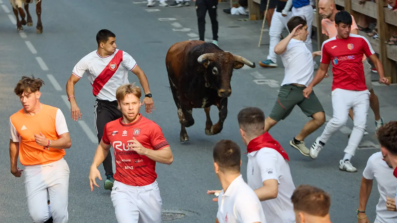 Tercer encierro de las fiestas de Tafalla 2025 con toros de la ganadería de Sobral. IÑIGO ALZUGARAY