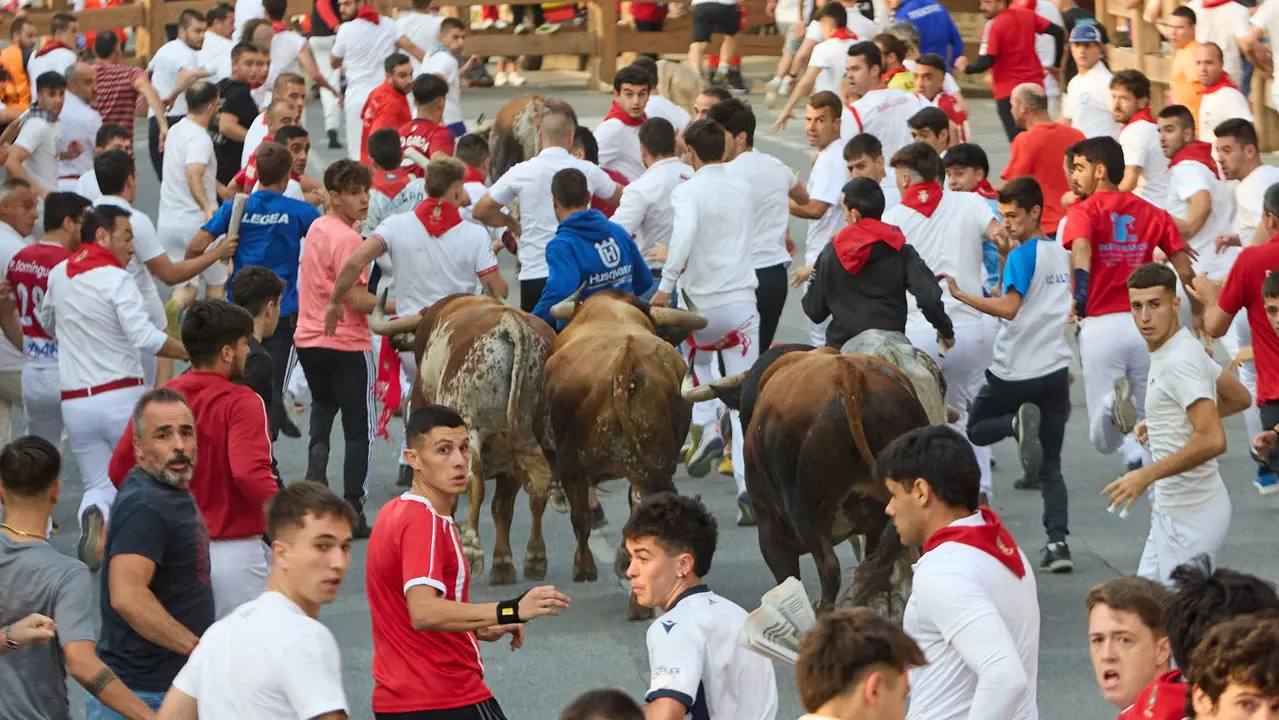 Tercer encierro de las fiestas de Tafalla 2025 con toros de la ganadería de Sobral. IÑIGO ALZUGARAY