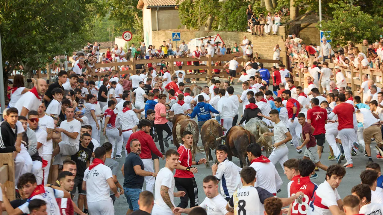 Tercer encierro de las fiestas de Tafalla 2025 con toros de la ganadería de Sobral. IÑIGO ALZUGARAY
