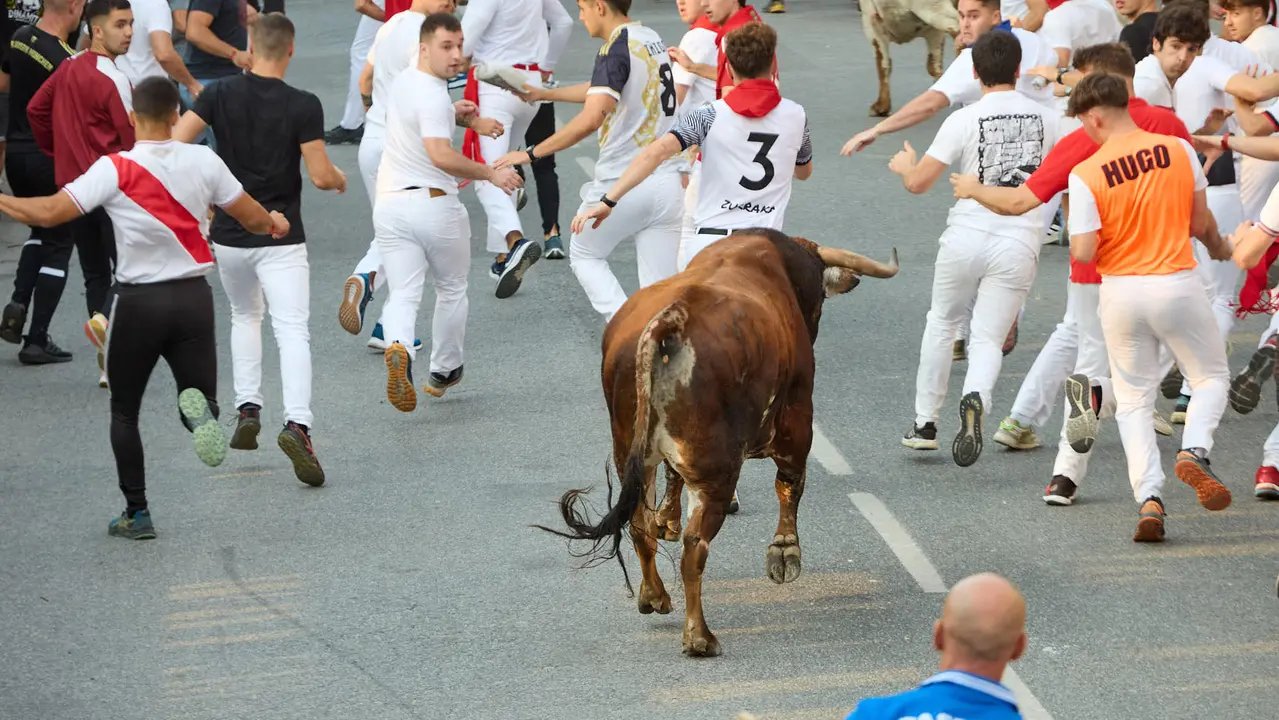 Tercer encierro de las fiestas de Tafalla 2025 con toros de la ganadería de Sobral. IÑIGO ALZUGARAY
