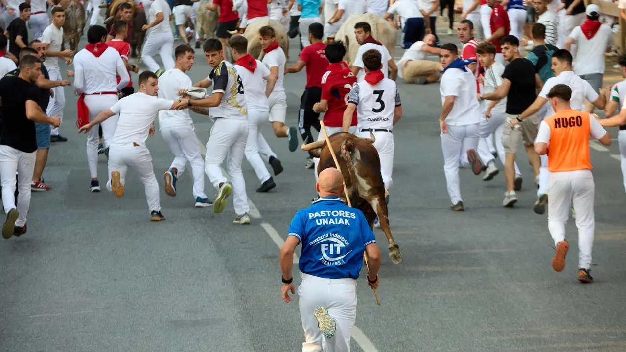 Tercer encierro de las fiestas de Tafalla 2025 con toros de la ganadería de Sobral. IÑIGO ALZUGARAY