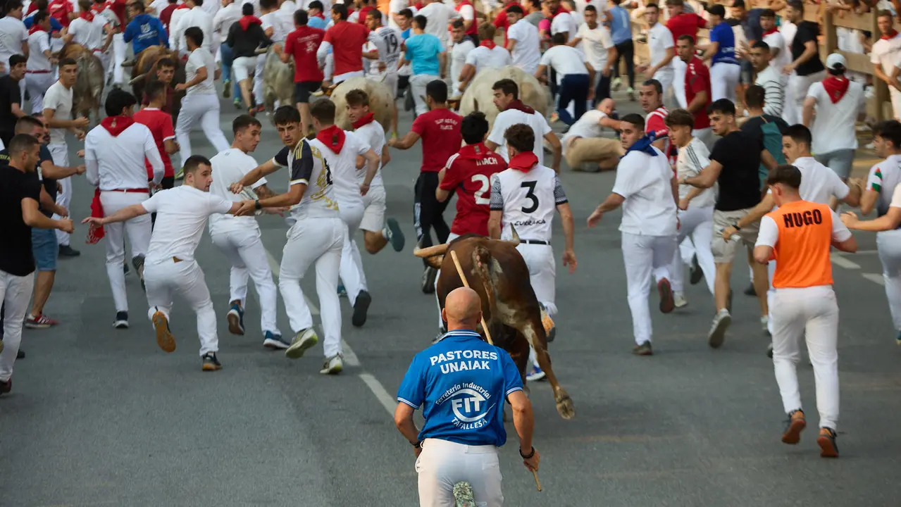 Tercer encierro de las fiestas de Tafalla 2025 con toros de la ganadería de Sobral. IÑIGO ALZUGARAY