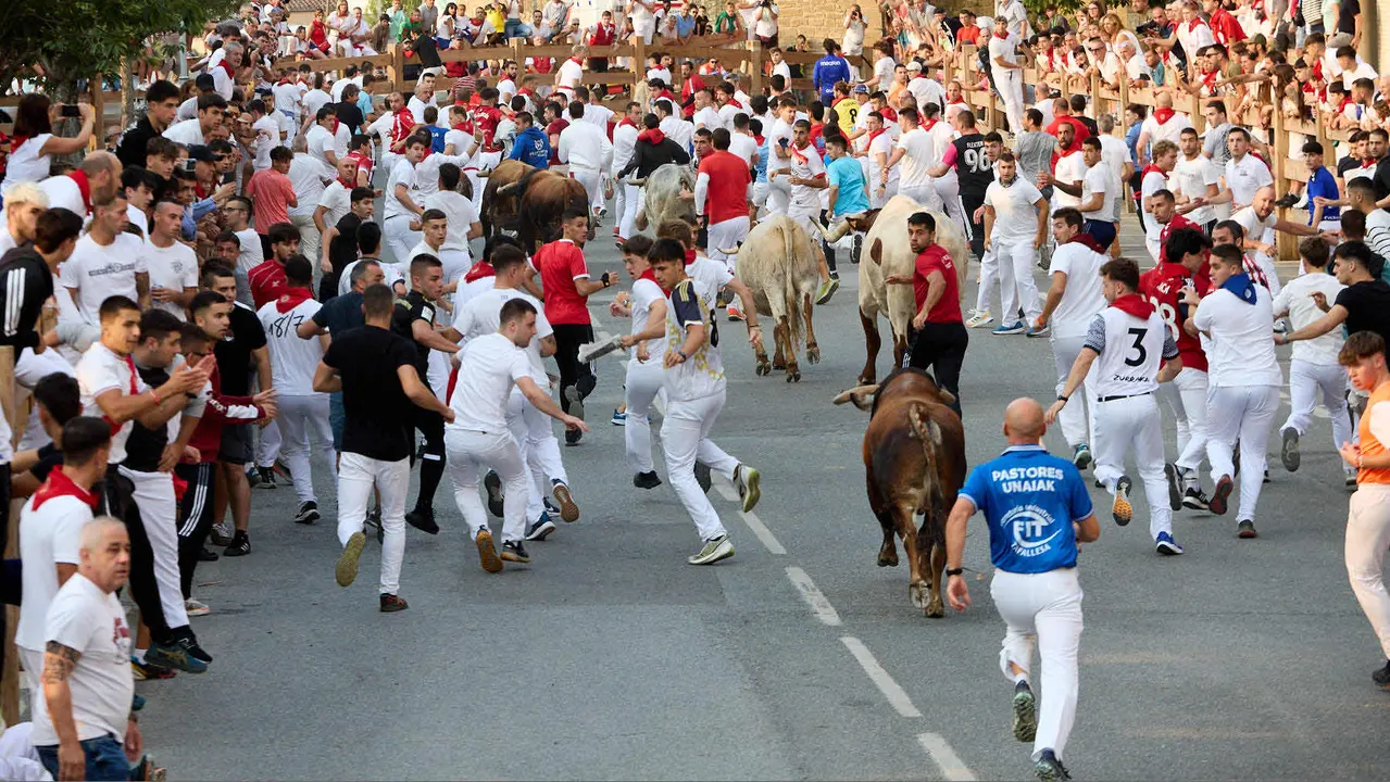 Tercer encierro de las fiestas de Tafalla 2025 con toros de la ganadería de Sobral. IÑIGO ALZUGARAY