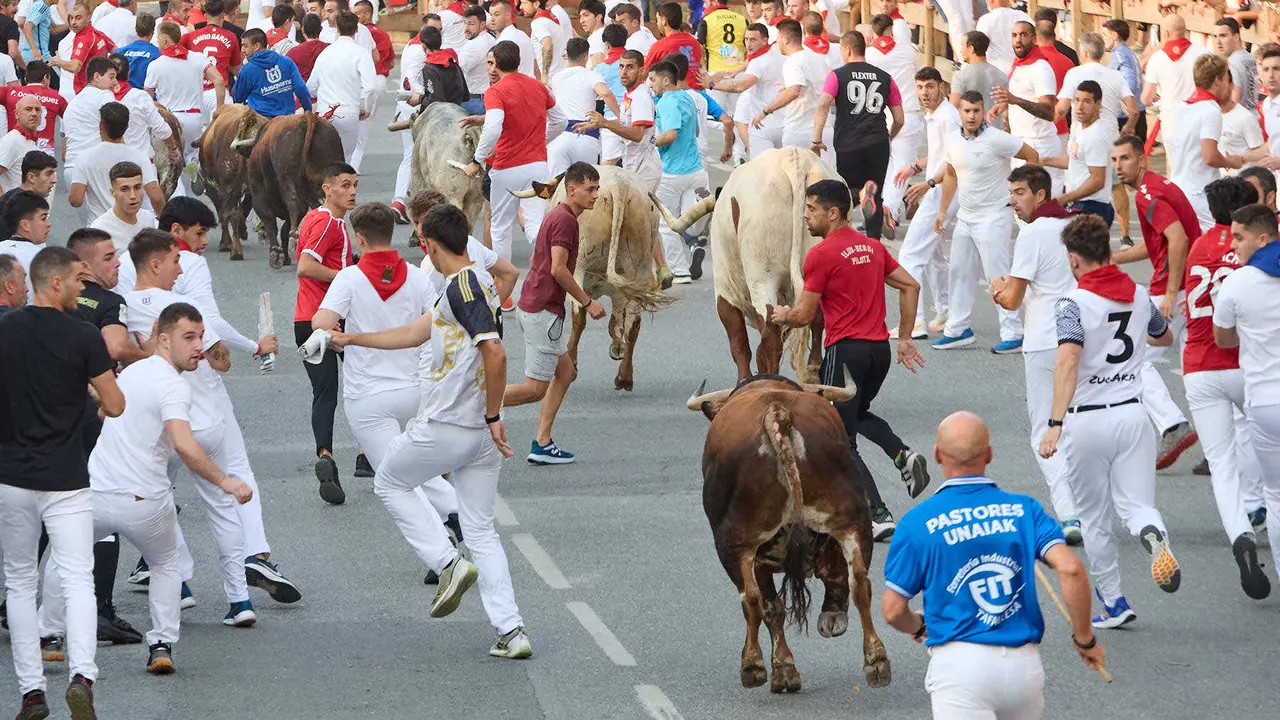 Tercer encierro de las fiestas de Tafalla 2025 con toros de la ganadería de Sobral. IÑIGO ALZUGARAY