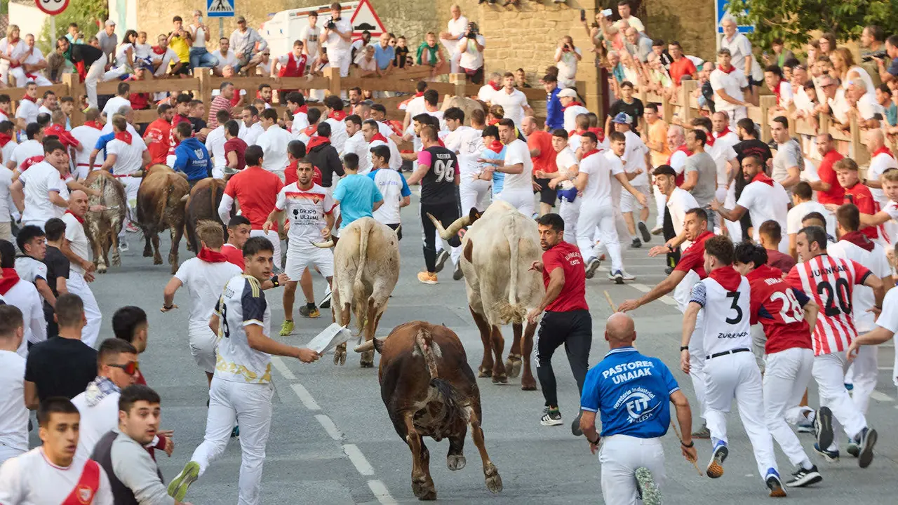 Tercer encierro de las fiestas de Tafalla 2025 con toros de la ganadería de Sobral. IÑIGO ALZUGARAY