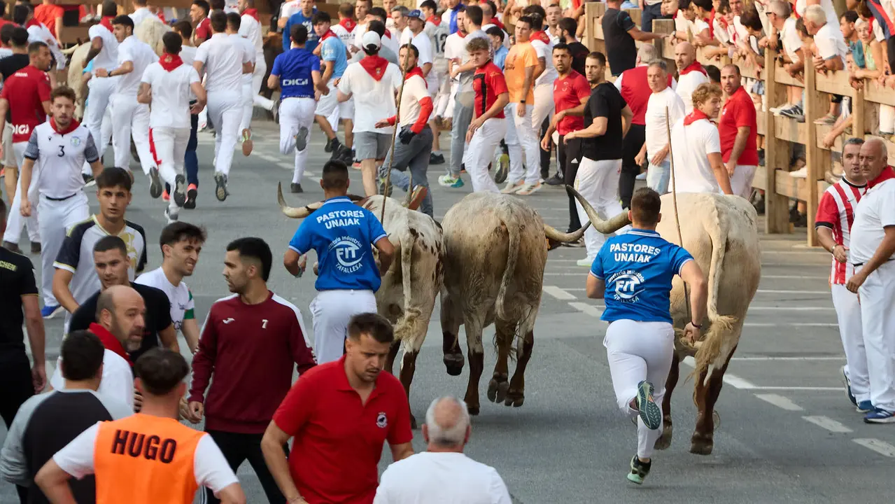 Tercer encierro de las fiestas de Tafalla 2025 con toros de la ganadería de Sobral. IÑIGO ALZUGARAY
