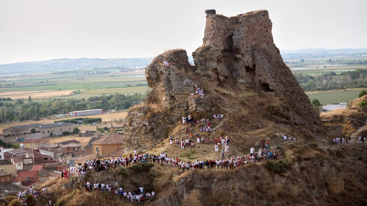 Segundo encierro del Pilón en las fiestas de Falces de 2025 con vacas de la ganadería de José Mº Goñi de Falces. IÑIGO ALZUGARAY