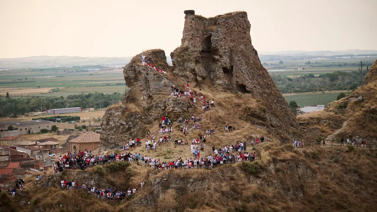 Tercer encierro del Pilón en las fiestas de Falces de 2025 con vacas de la ganadería de Teodoro Vergara de Falces. PABLO LASAOSA