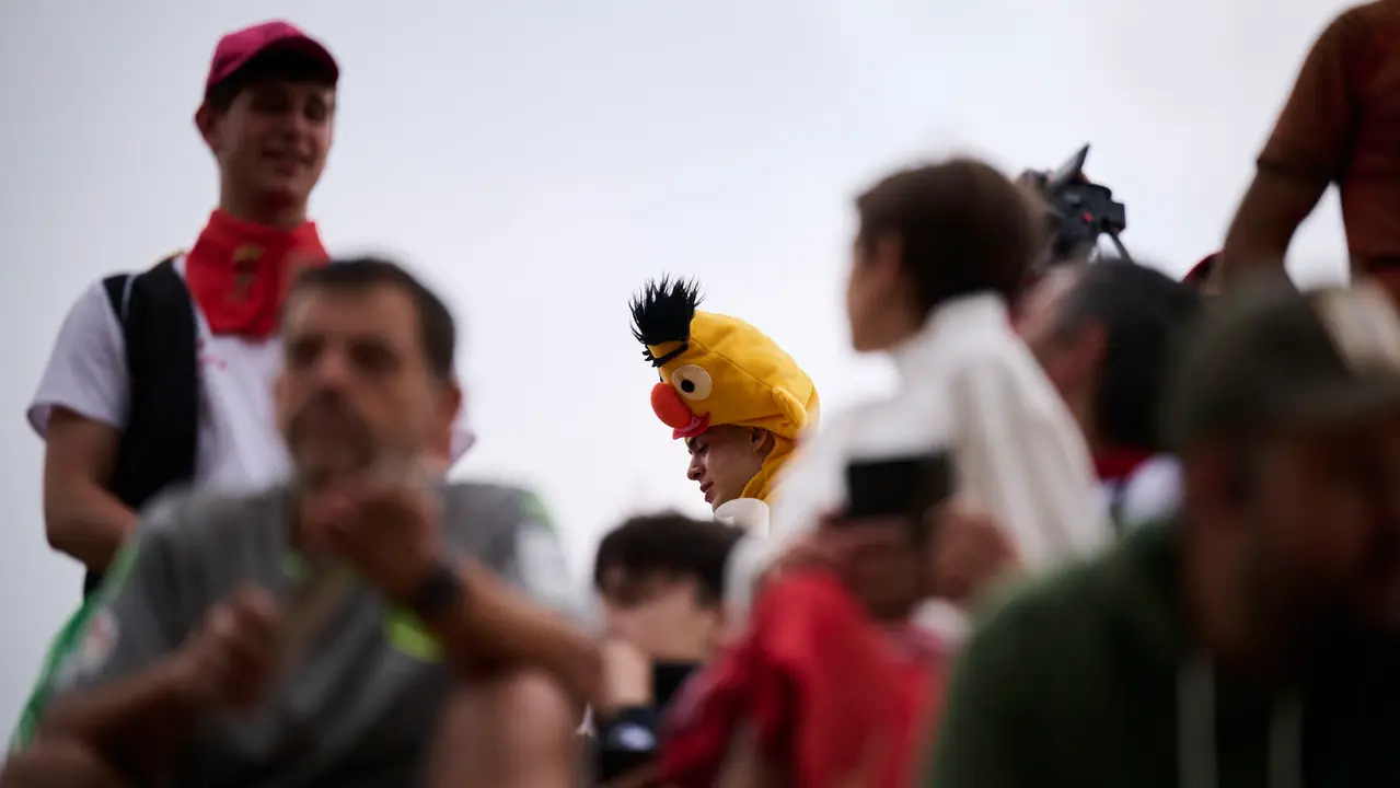 Tercer encierro del Pilón en las fiestas de Falces de 2025 con vacas de la ganadería de Teodoro Vergara de Falces. PABLO LASAOSA