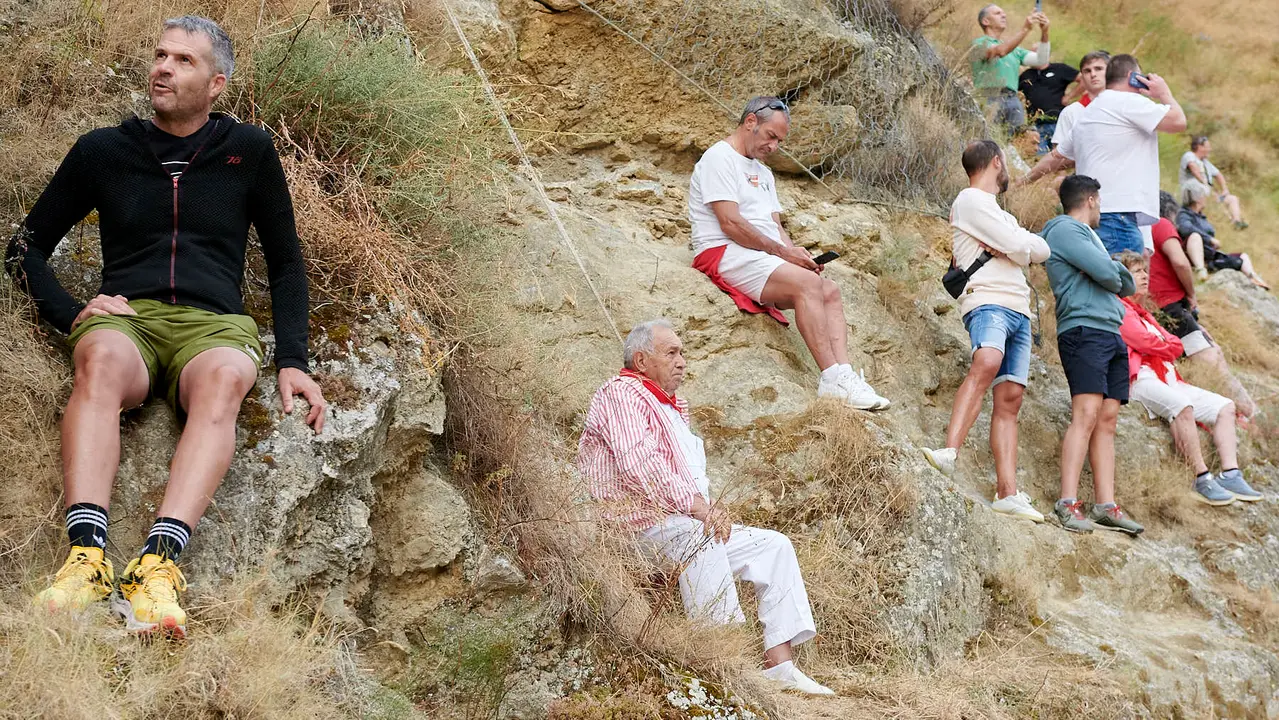 Tercer encierro del Pilón de Falces con vacas de Teodoro Vergara. IRANZU LARRASOAÑA