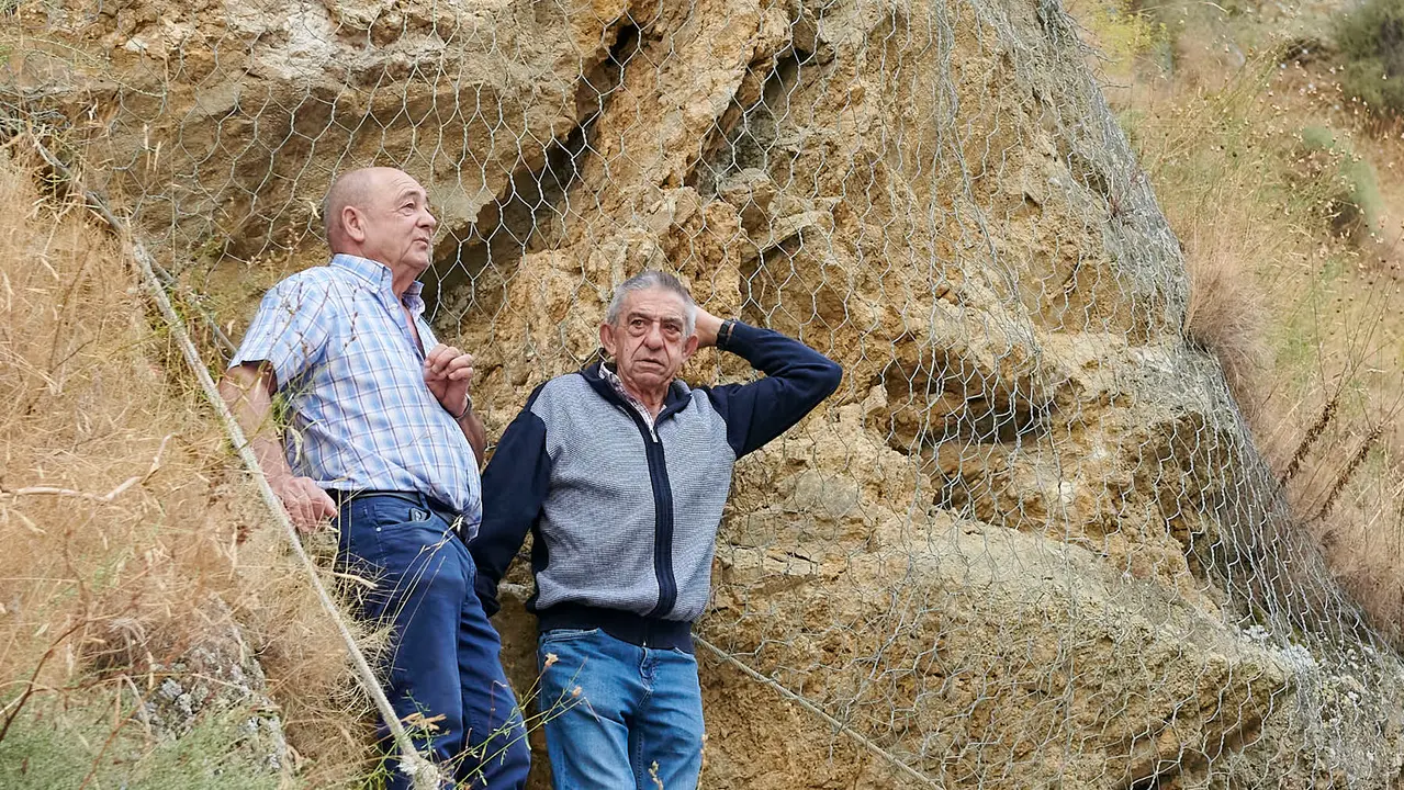 Tercer encierro del Pilón de Falces con vacas de Teodoro Vergara. IRANZU LARRASOAÑA