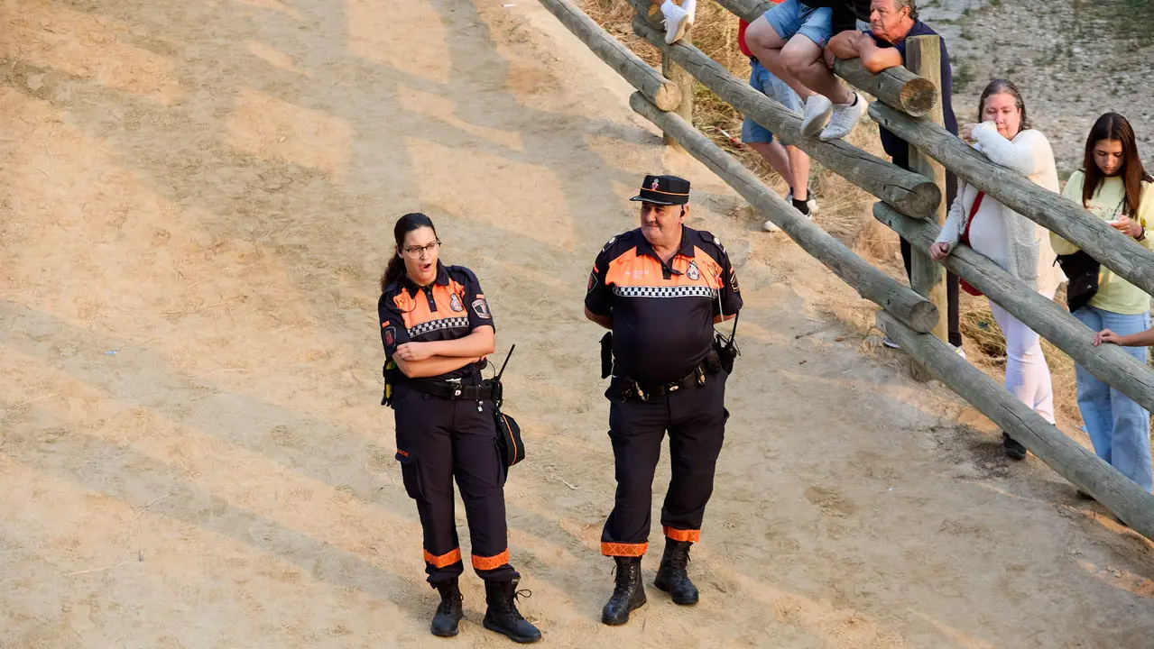 Tercer encierro del Pilón en las fiestas de Falces de 2025 con vacas de la ganadería de Teodoro Vergara de Falces. IÑIGO ALZUGARAY