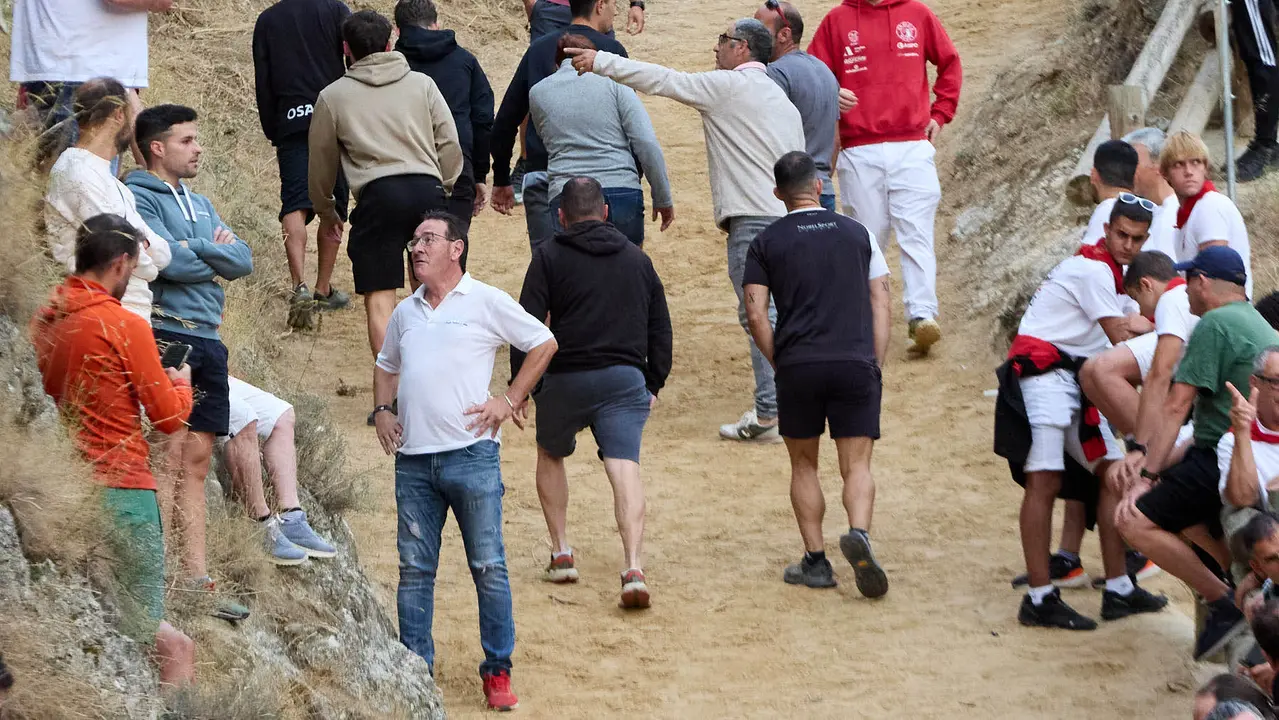 Tercer encierro del Pilón en las fiestas de Falces de 2025 con vacas de la ganadería de Teodoro Vergara de Falces. IÑIGO ALZUGARAY