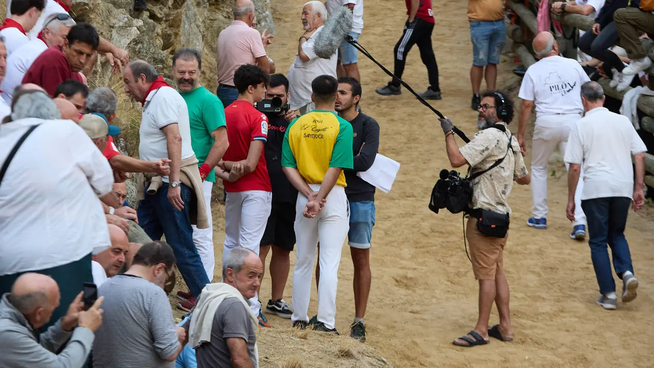 Tercer encierro del Pilón en las fiestas de Falces de 2025 con vacas de la ganadería de Teodoro Vergara de Falces. IÑIGO ALZUGARAY