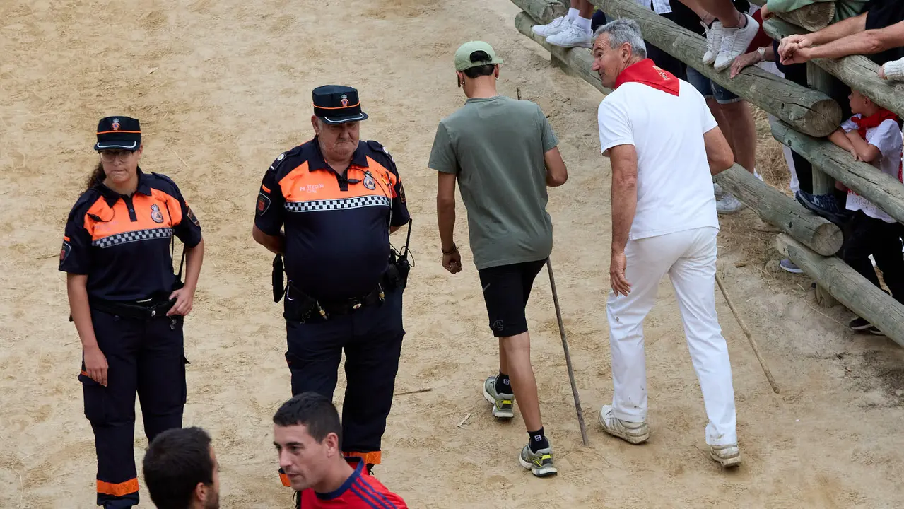 Tercer encierro del Pilón en las fiestas de Falces de 2025 con vacas de la ganadería de Teodoro Vergara de Falces. IÑIGO ALZUGARAY