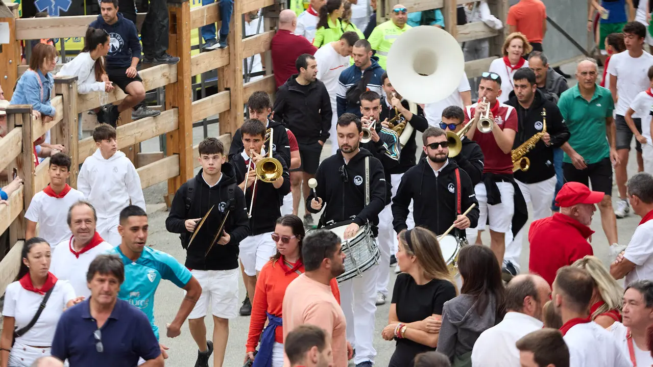 Tercer encierro del Pilón en las fiestas de Falces de 2025 con vacas de la ganadería de Teodoro Vergara de Falces. IÑIGO ALZUGARAY