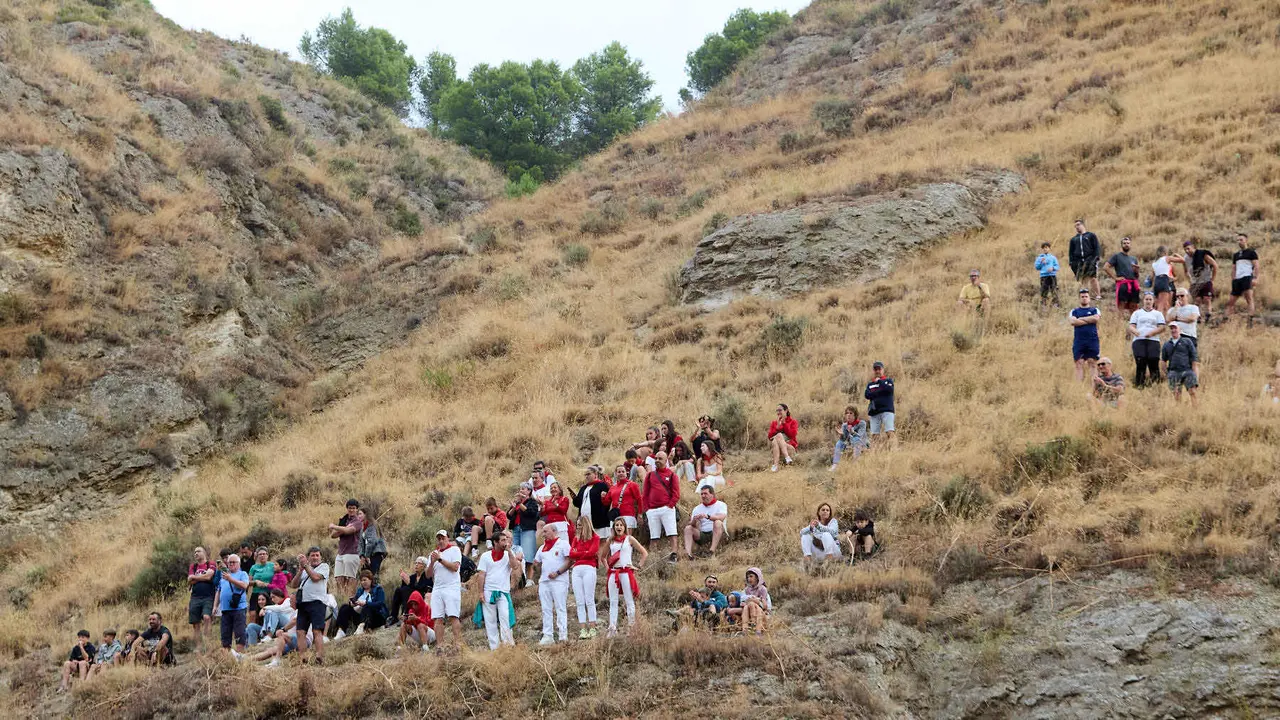 Tercer encierro del Pilón en las fiestas de Falces de 2025 con vacas de la ganadería de Teodoro Vergara de Falces. IÑIGO ALZUGARAY