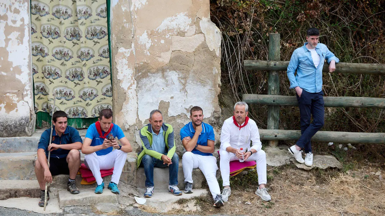 Tercer encierro del Pilón en las fiestas de Falces de 2025 con vacas de la ganadería de Teodoro Vergara de Falces. IÑIGO ALZUGARAY
